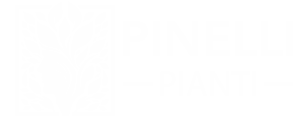 Pinelli Pianti